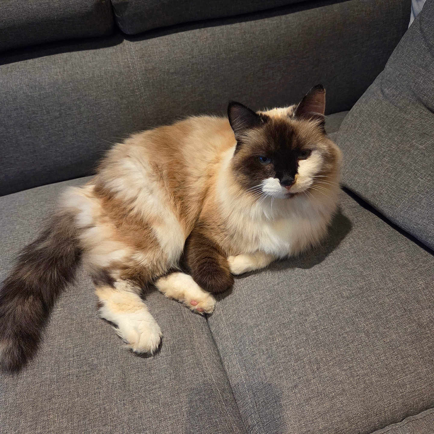 Luna
