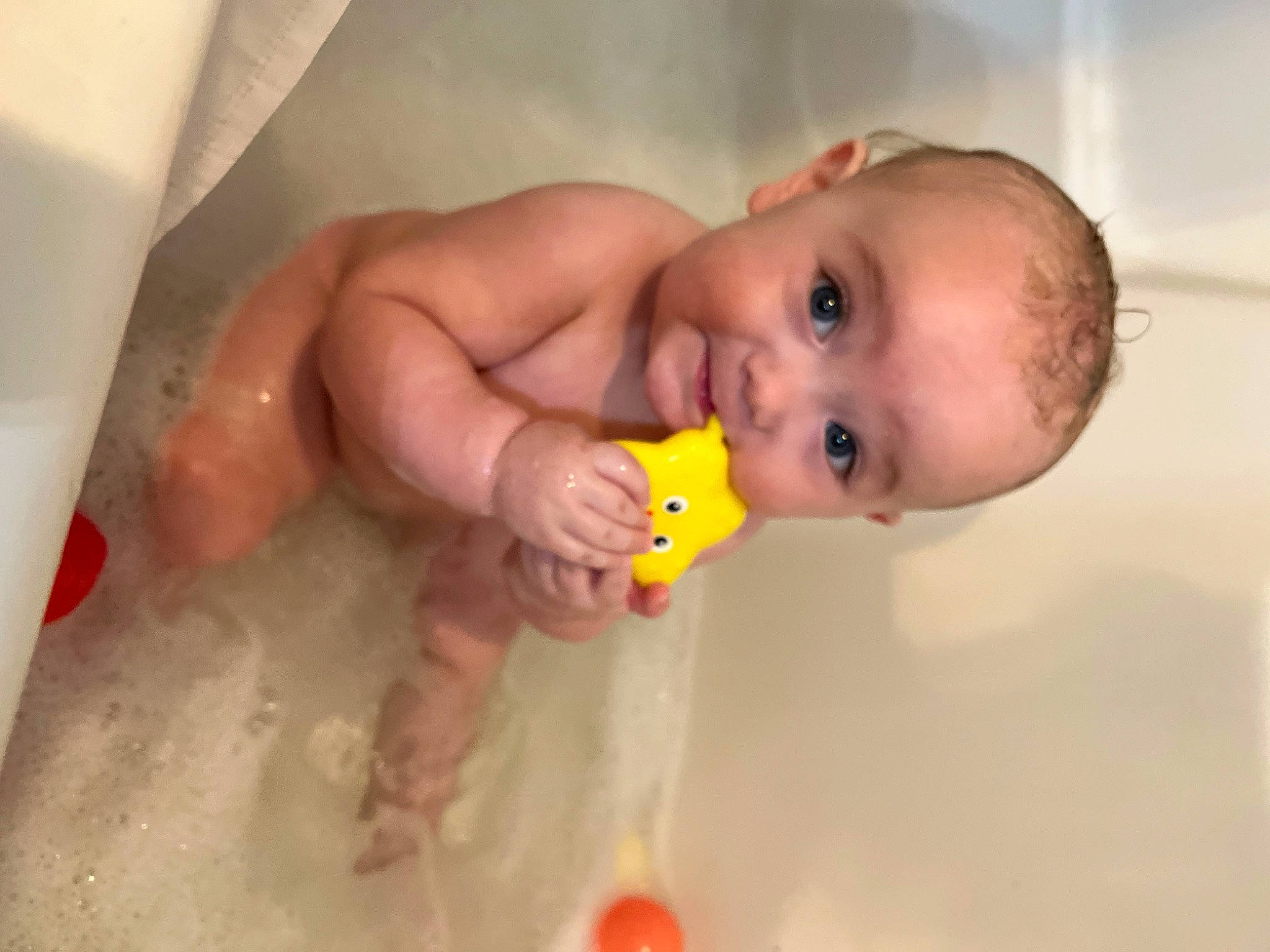 Daylan joined the competition — help win amazing prizes! arm, baby, baby_bathing, bath_toy, bathing, bathroom, bathtub, cheek, ear, eyebrow, finger, fluid, hand, human_body, iris, mouth, nose, person, plumbing_fixture, skin