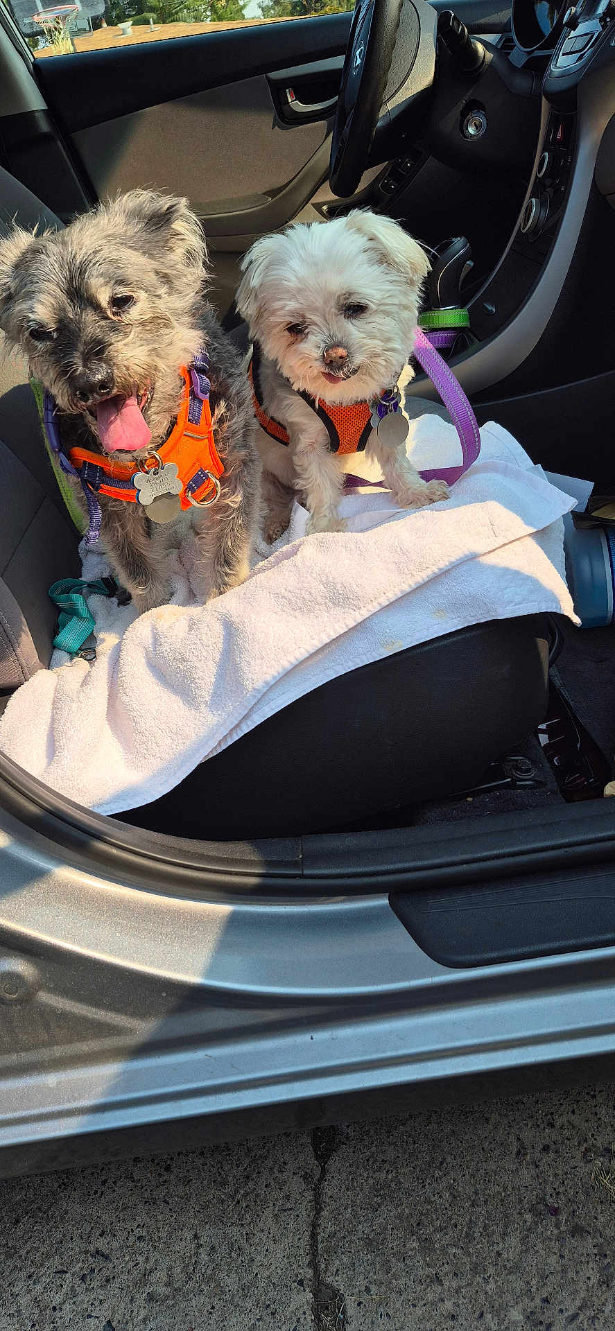 Maxx And Pickles