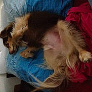 Jimmy participe au concours pour gagner de l'argent avec cette photo :