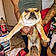 Oddie