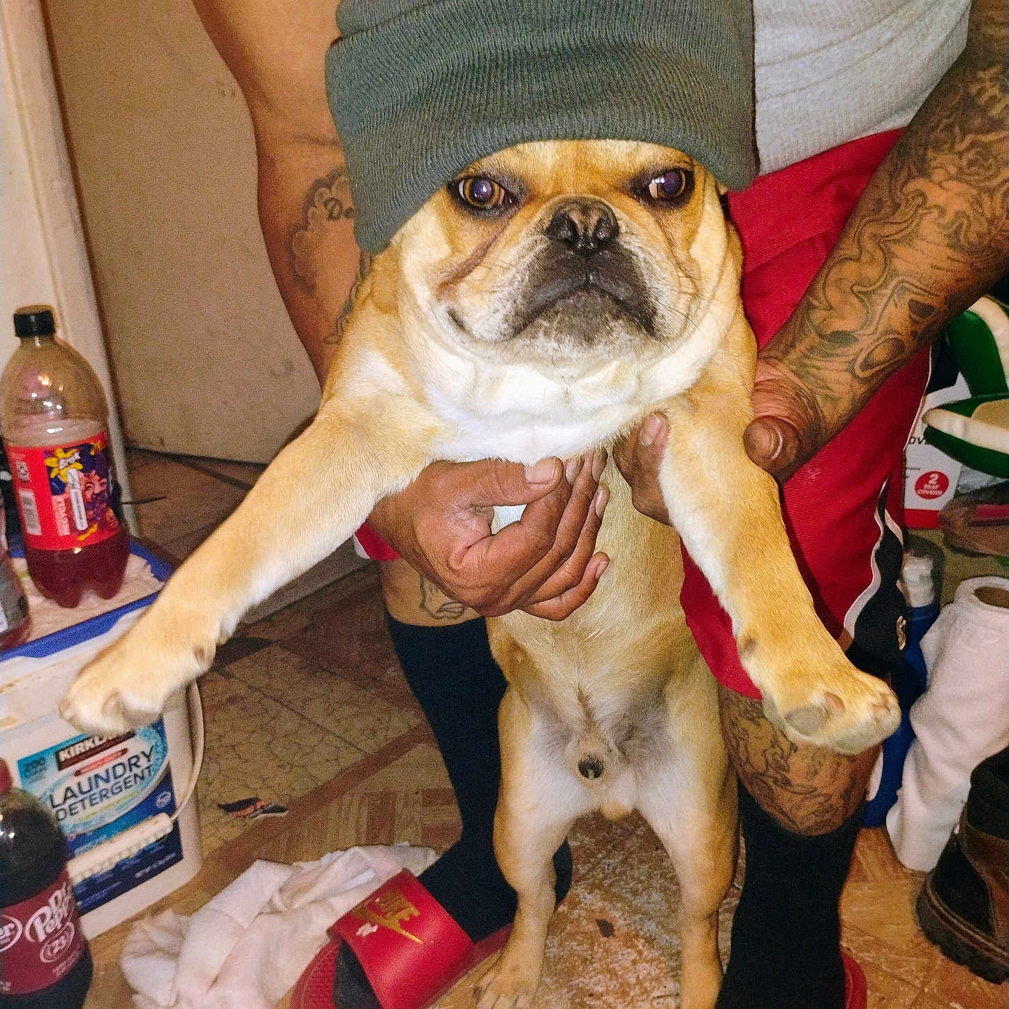 Oddie