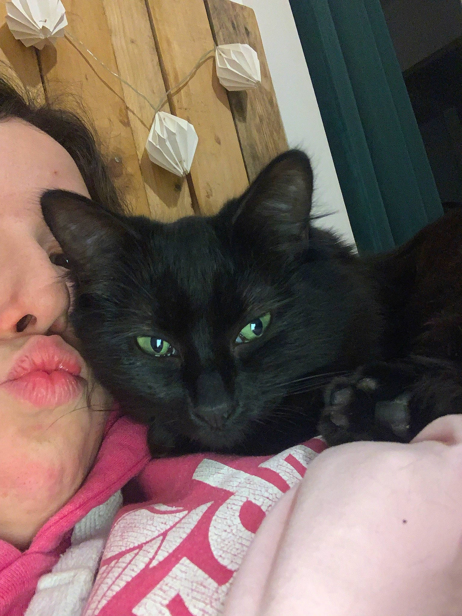 Ryuka a rejoint le concours — aidez-le/la à gagner de superbes lots ! black_cat, carnivore, cat, comfort, ear, eyelash, fawn, felidae, fur, gesture, human_body, iris, lap, leg, long_hair, nose, small_to_medium_sized_cats, snout, thigh, whiskers