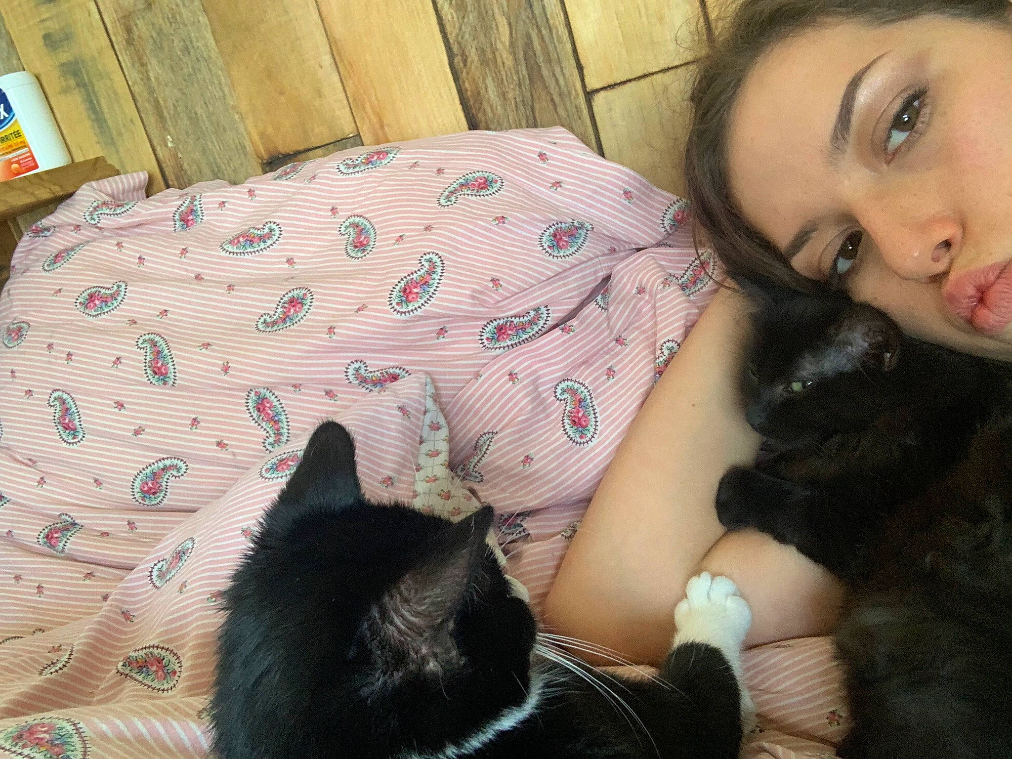 Ryuka participe au concours pour gagner de l'argent avec cette photo : black_hair, carnivore, cat, comfort, companion_dog, ear, eye, eyelash, felidae, gesture, happy, head, lip, mammal, mouth, organ, skin, small_to_medium_sized_cats, textile, whiskers