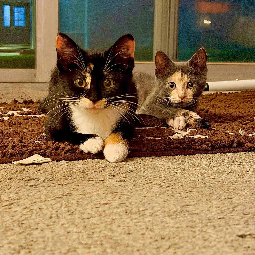 Eleanor And Lucy