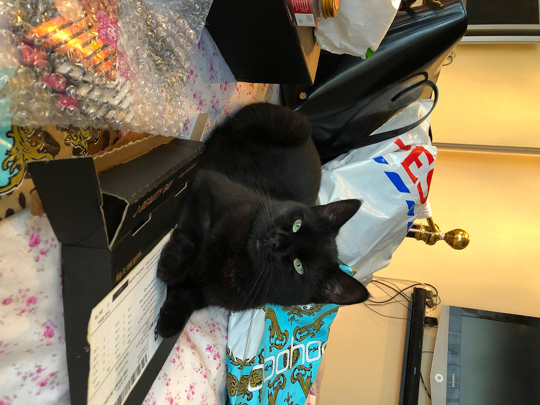 Taloula is registered to the contest to win money with this photo: bag, black_cat, bombay, carmine, carnivore, cat, comfort, domestic_short_haired_cat, electric_blue, event, fashion_accessory, felidae, fur, linens, pattern, personal_protective_equipment, small_to_medium_sized_cats, tail, whiskers