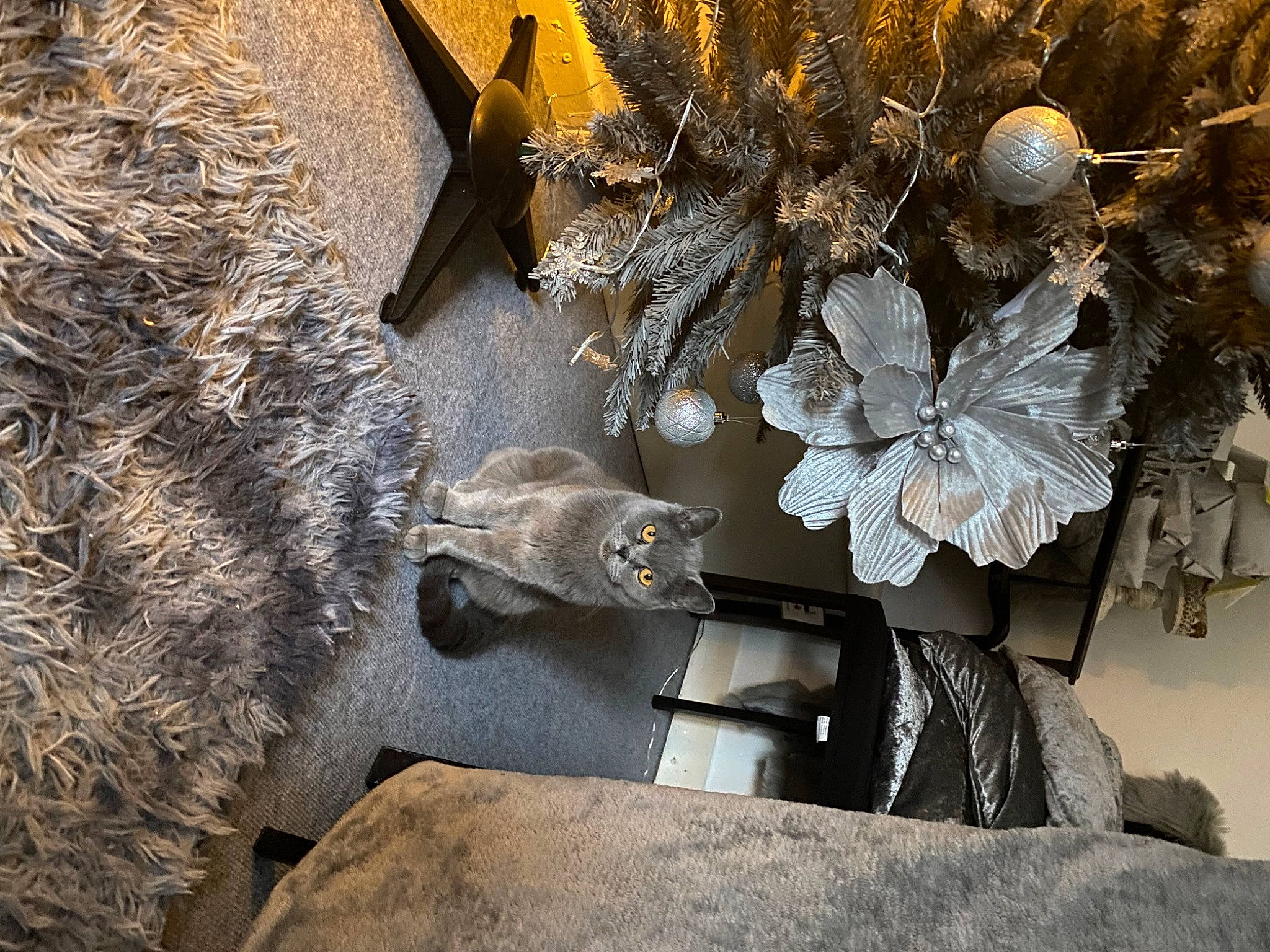 Doja Cat is registered to the contest to win money with this photo: art, automotive_wheel_system, fashion_accessory, grey, jewellery, metal, pattern, petal, plant, rock, room, sculpture, still_life, still_life_photography, table, tree, twig, visual_arts, winter, wood