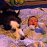 baby, dog, husky, pet, infant, blanket, carpet, floor, indoor, animal, person, resting, cute, fur, face, clothing, towel, home, portrait, relaxation