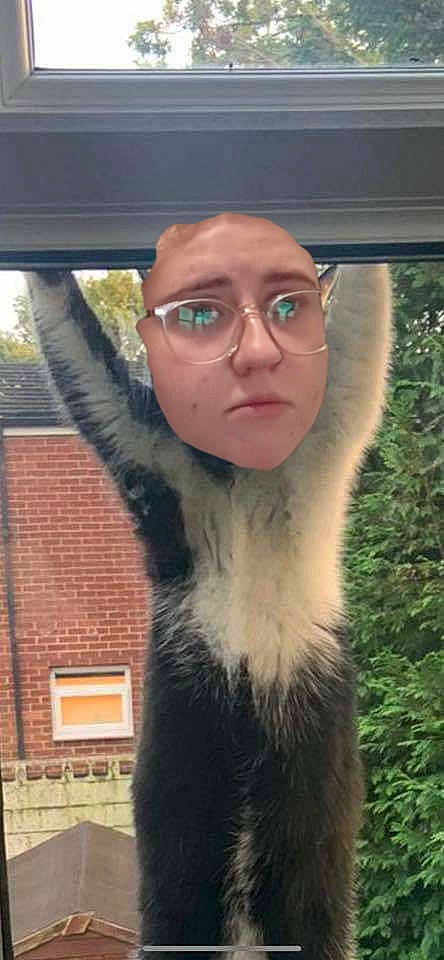 Hannah joined the competition — help win amazing prizes! facial_hair, forehead, fur, glasses, jaw, nose, photography, selfie