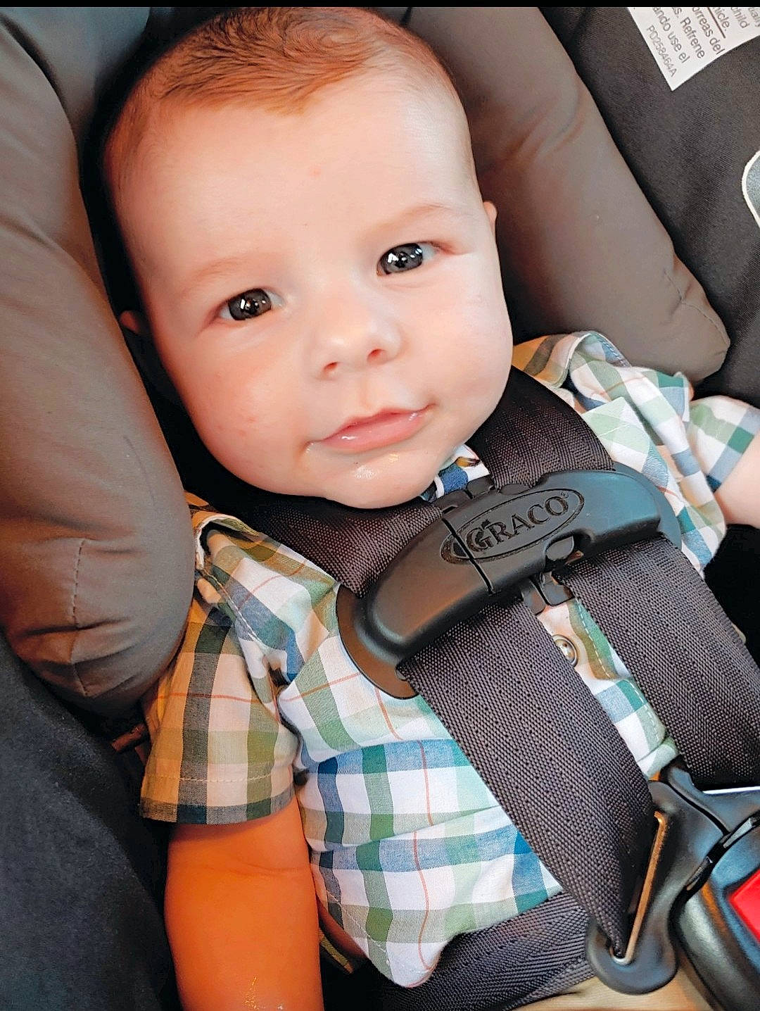 Dalton joined the competition — help win amazing prizes! baby, baby_toddler_clothing, car_seat, cheek, collar, comfort, cool, eyelash, finger, flash_photography, iris, nose, pattern, person, plaid, product, seat_belt, skin, sleeve, tartan