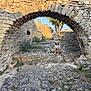 Vaïko participe au concours pour gagner de l'argent avec cette photo : ancient, animal, archway, cat, companions, daylight, dog, friendly, greenery, historic, landscape, nature, outdoor, pet, rocky_path, ruins, scenic, stone_arch, stone_wall, sunlight