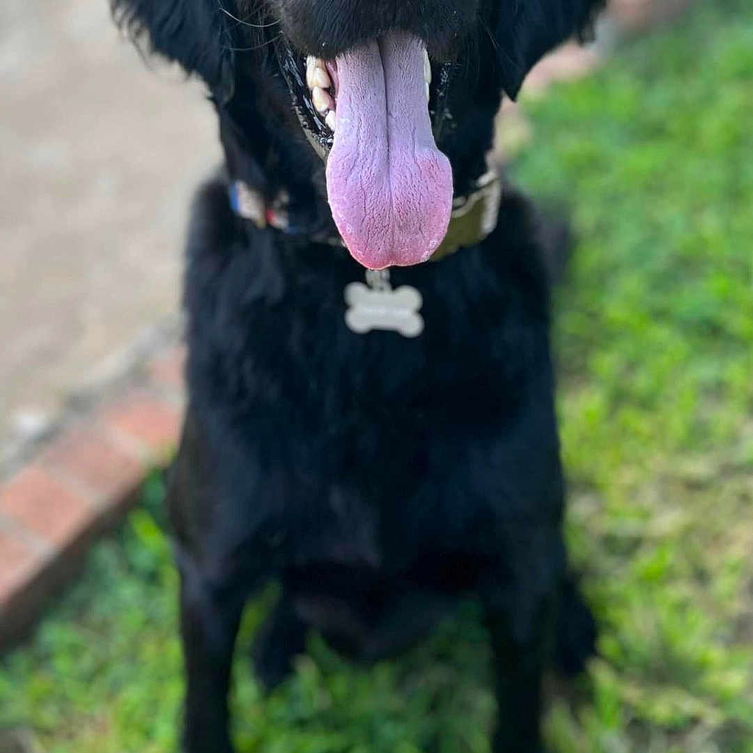 Oscar
