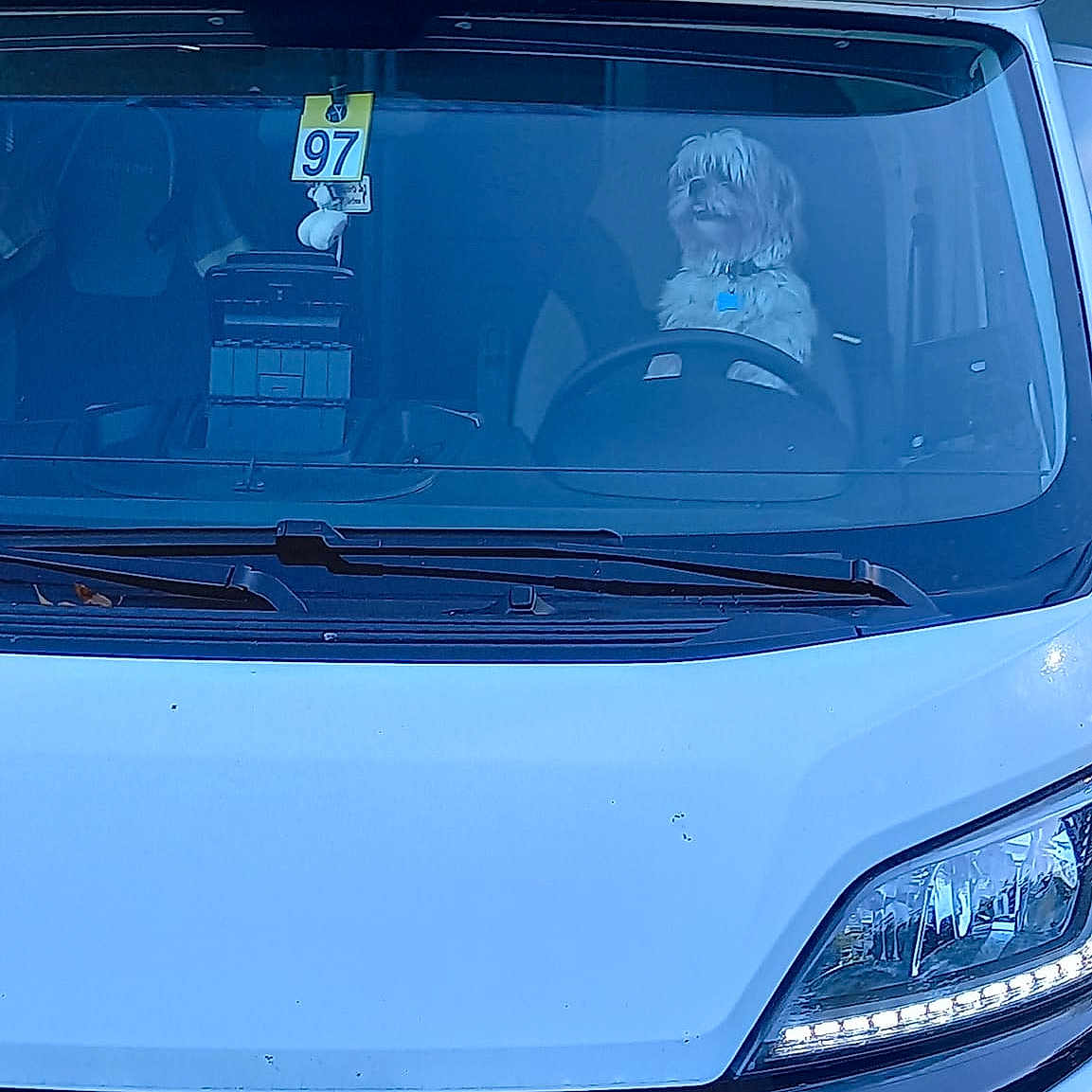 Ralf participe au concours pour gagner de l'argent avec cette photo : automotive_design, automotive_exterior, automotive_fog_light, automotive_light_bulb, automotive_lighting, automotive_tire, blue, bumper, car, grille, headlamp, hood, light, mode_of_transport, motor_vehicle, vehicle, vehicle_door, vehicle_registration_plate, window, windscreen_wiper