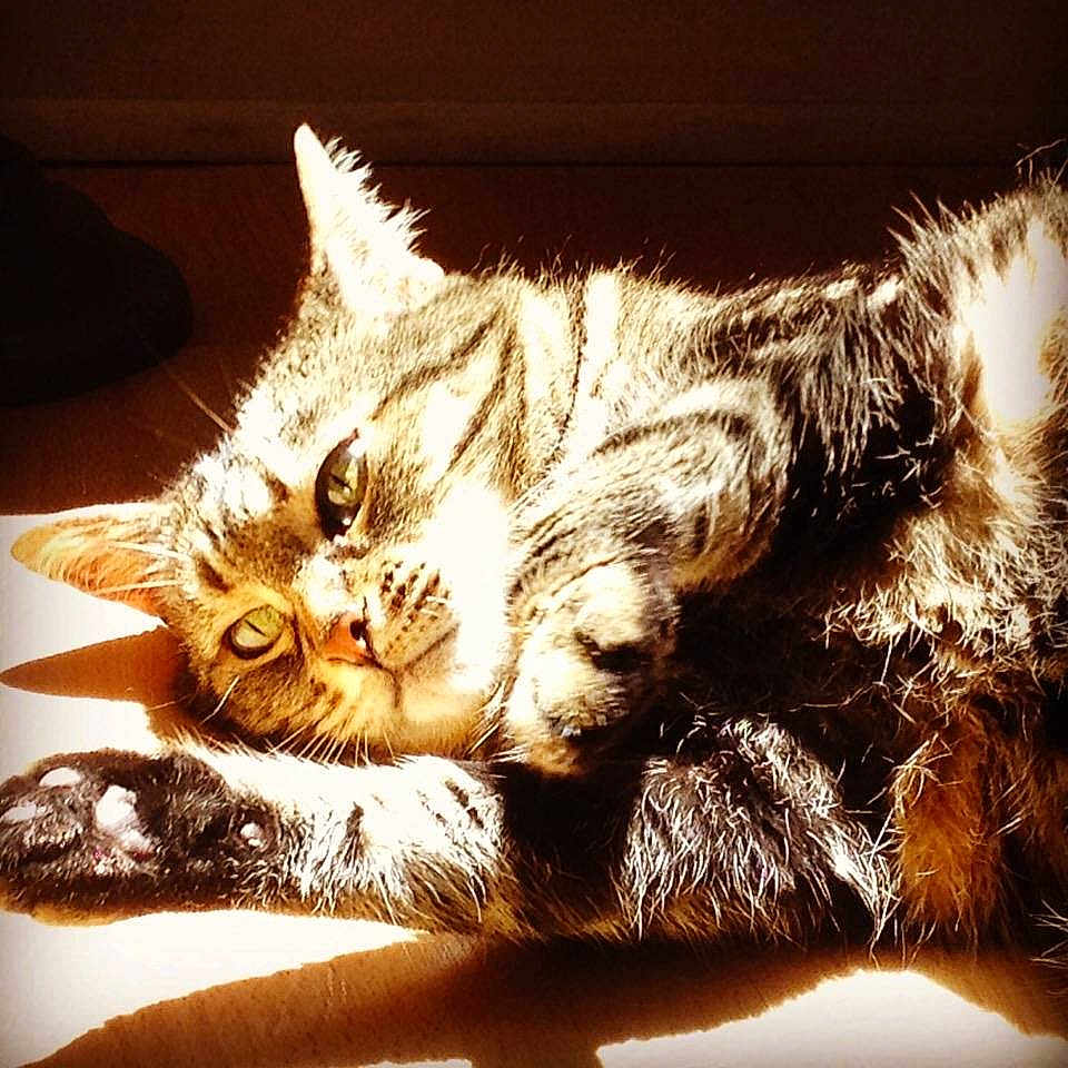 Moustyc participe au concours pour gagner de l'argent avec cette photo :