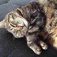 Moustyc participe au concours pour gagner de l'argent avec cette photo :