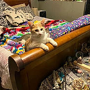 Peach is registered to the contest to win money with this photo: cat, bed, blanket, crochet, wooden_furniture, bedroom, decor, crystals, knickknacks, table, mug, clock, photograph, stuffed_toy, patterned_cloth, indoor, feline, resting, colorful, cozy