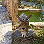 animal, cat, curious, daytime, flowers, garden, grass, miniature_windmill, nature, outdoor, pet, plants, pond, relaxing, rustic, shadow, stone_path, stone_structure, sunlight, wooden_blades