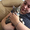 Athena participe au concours pour gagner de l'argent avec cette photo : cat, kitten, person, striped_shirt, bracelet, couch, leather, indoor, holding, pet, tabby, cute, animal, closeup, relaxed, home, face, hand, comfort, resting