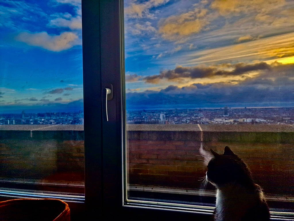 Bella participe au concours pour gagner de l'argent avec cette photo : air_travel, atmosphere, carnivore, cat, cloud, cumulus, dusk, felidae, glass, horizon, interior_design, landscape, morning, shade, sky, sunlight, tints_and_shades, tower, water, window