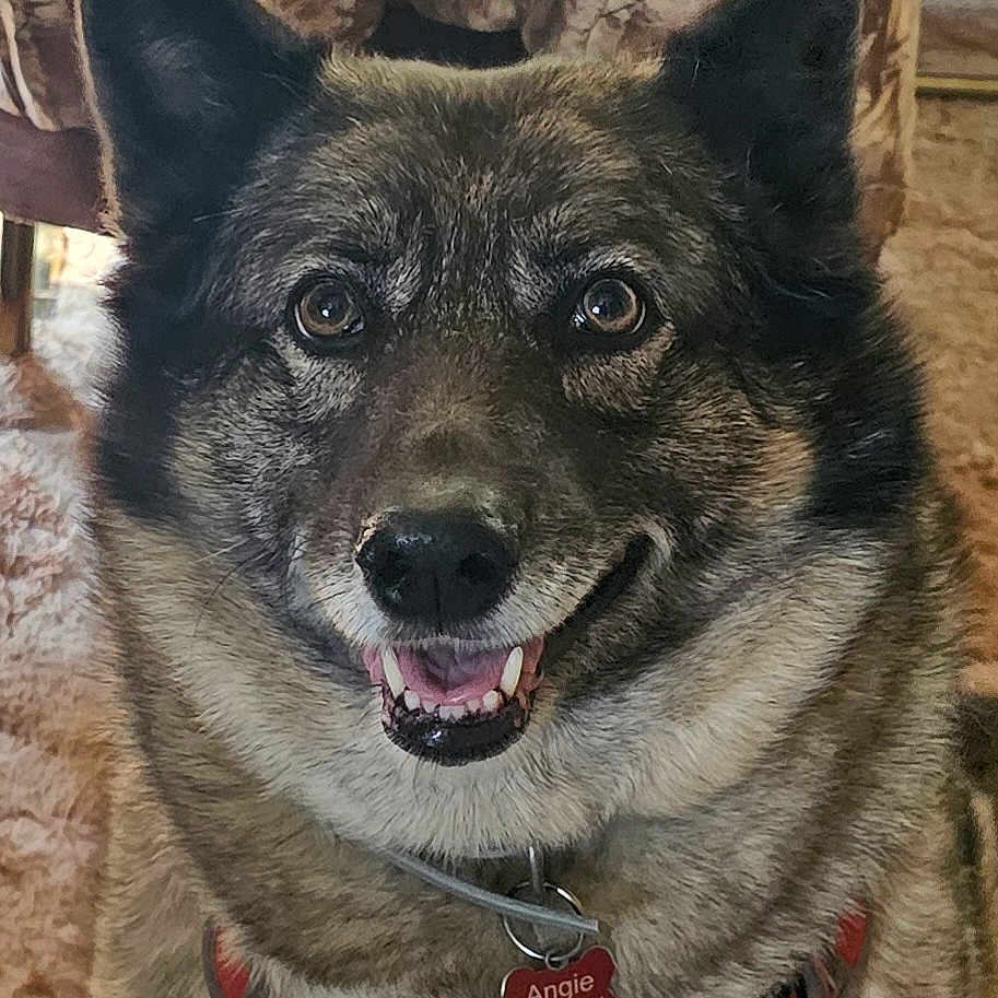 Angie