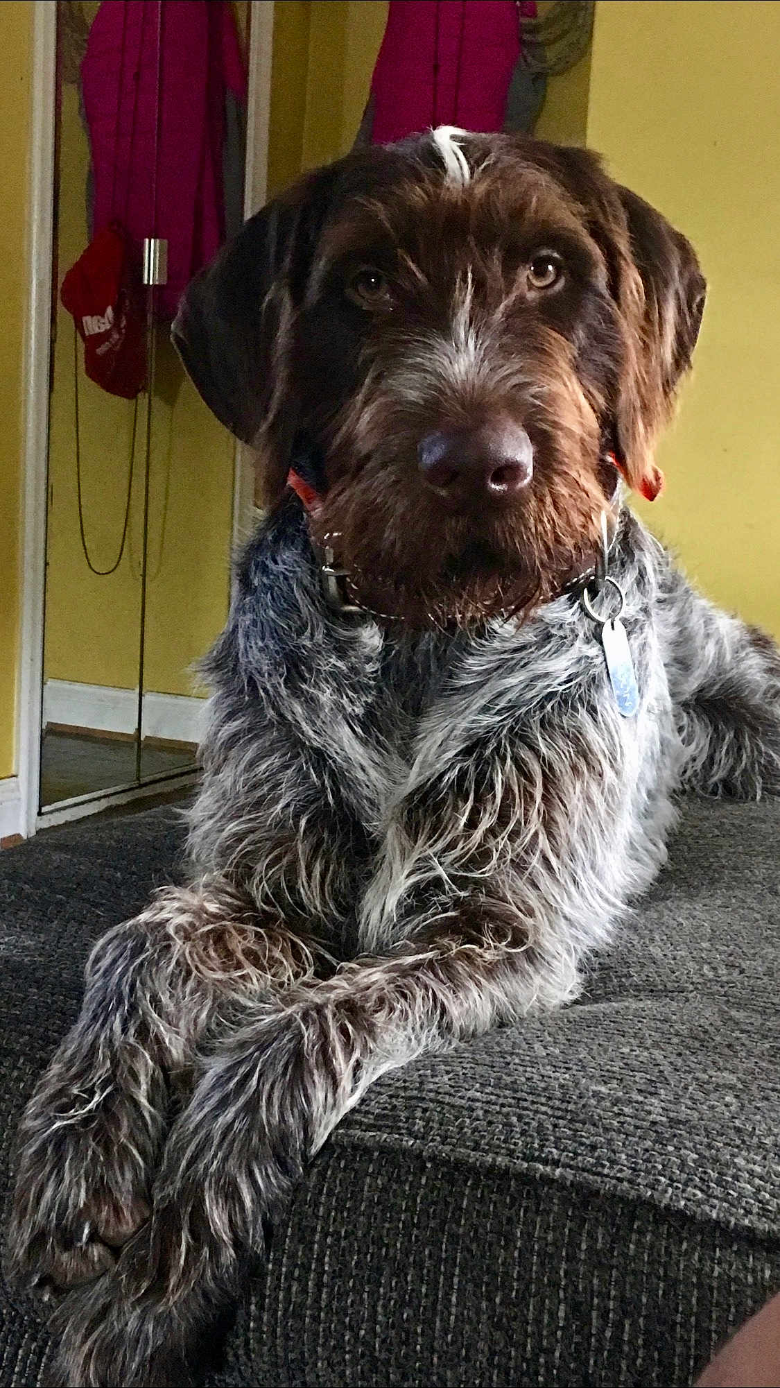 Wilson