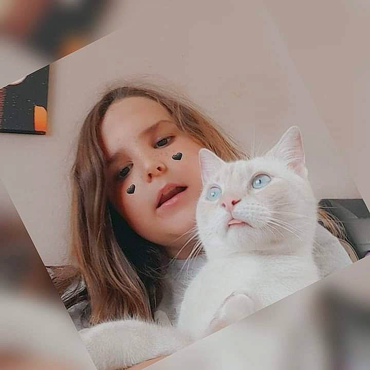 Lola participe au concours pour gagner de l'argent avec cette photo : box, carnivore, cat, comfort, domestic_short_haired_cat, ear, eyebrow, eyelash, fawn, felidae, fur, gesture, happy, iris, paw, person, room, sitting, small_to_medium_sized_cats, smile