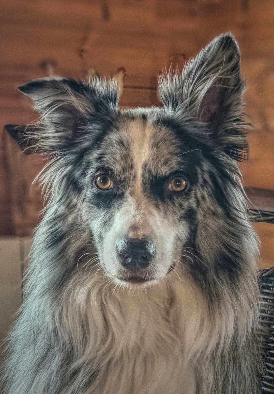 Rudy