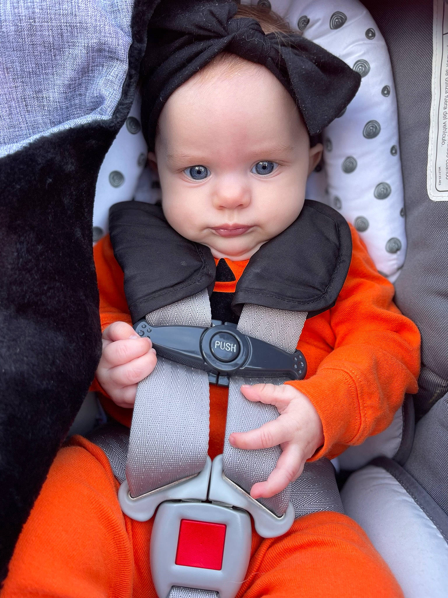 Elysia is registered to the contest to win money with this photo: auto_part, baby, baby_carriage, baby_in_car_seat, baby_products, baby_safety, baby_toddler_clothing, cap, car_seat, cheek, child, comfort, electric_blue, headwear, orange, person, product, seat_belt, sleeve, thumb