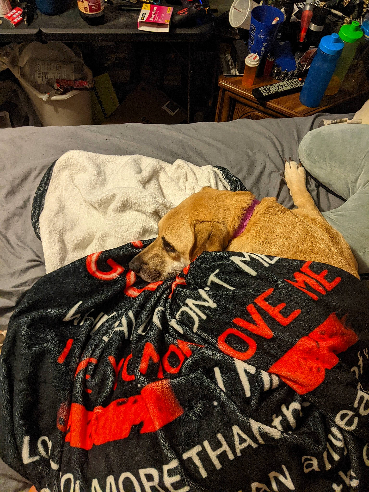 Katie is registered to the contest to win money with this photo: bed_sheet, bedding, chair, comfort, event, font, hat, linens, nap, pattern, room, sleeve, t_shirt, textile