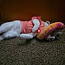 Smore joined the competition — help win amazing prizes! cat, pet, animal, indoor, carpet, dress, pink_clothing, toy, hat, lying_down, white_fur, gray_fur, door, floor, playful, cozy, domestic, cute, resting, feline
