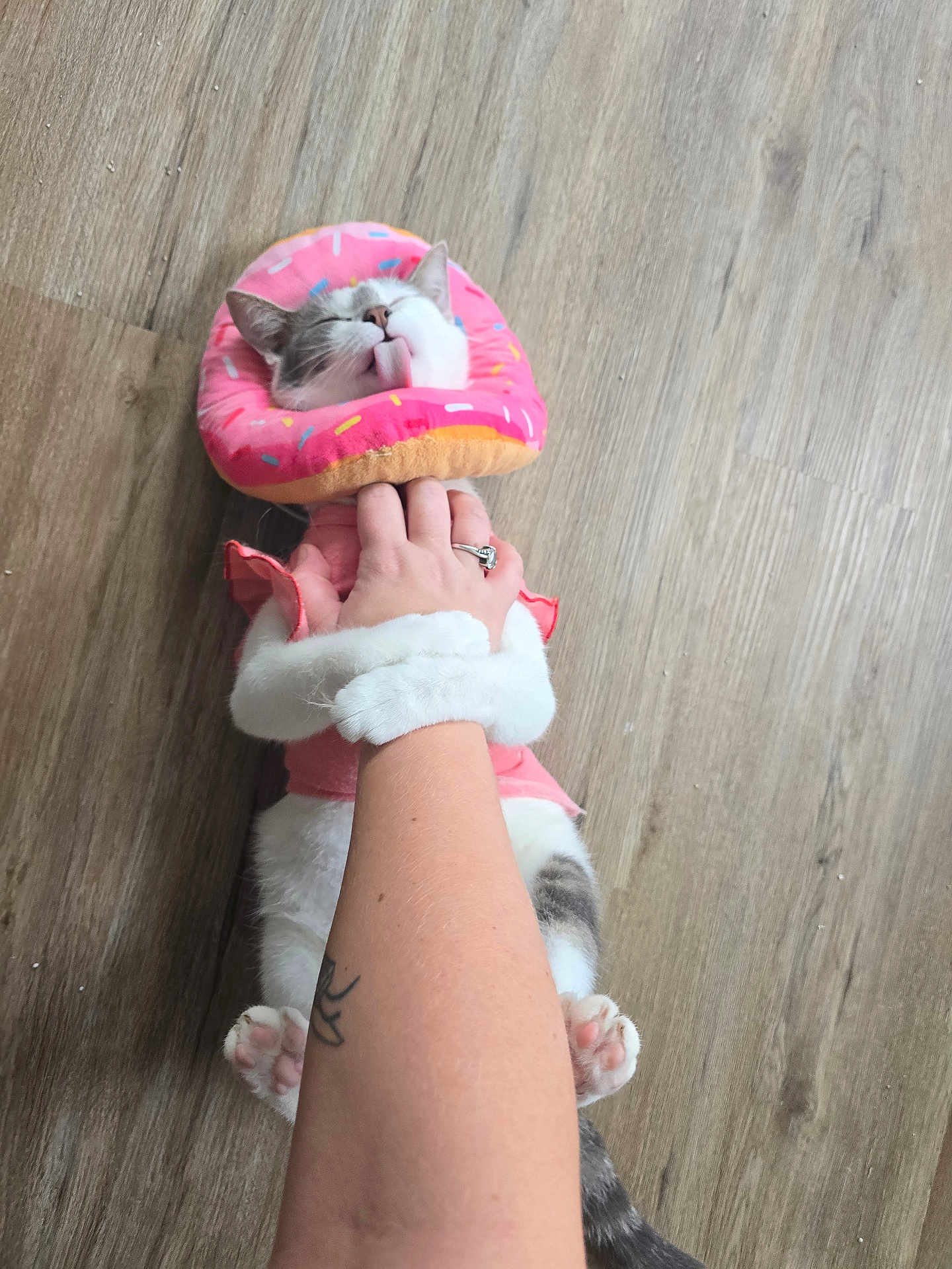 Smore