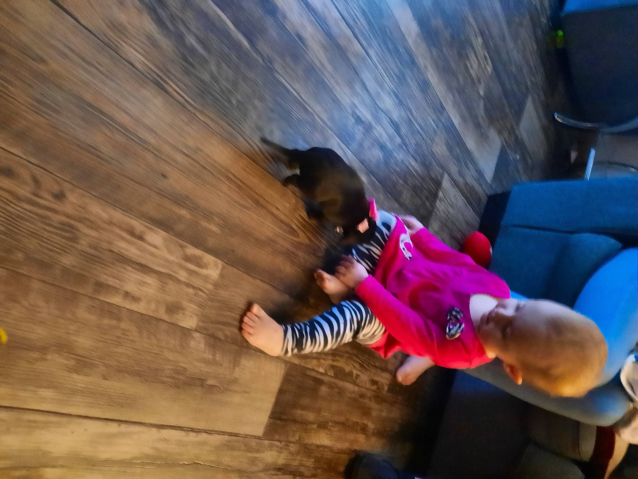 Melania joined the competition — help win amazing prizes! adventure, electric_blue, hand, happy, hardwood, hat, human_leg, knee, landscape, leisure, magenta, person, recreation, sandal, shorts, sitting, t_shirt, thigh, toddler, tree