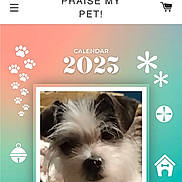 Told Twice Tt is registered to the contest to win money with this photo: dog, pet, calendar, 2025, paw_prints, cute, fluffy, scruffy, portrait, colorful, gradient, icon, star, camera, house, banner, text, website, mobile_screen, advertisement