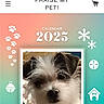 2025, advertisement, banner, calendar, camera, colorful, cute, dog, fluffy, gradient, house, icon, mobile_screen, paw_prints, pet, portrait, scruffy, star, text, website