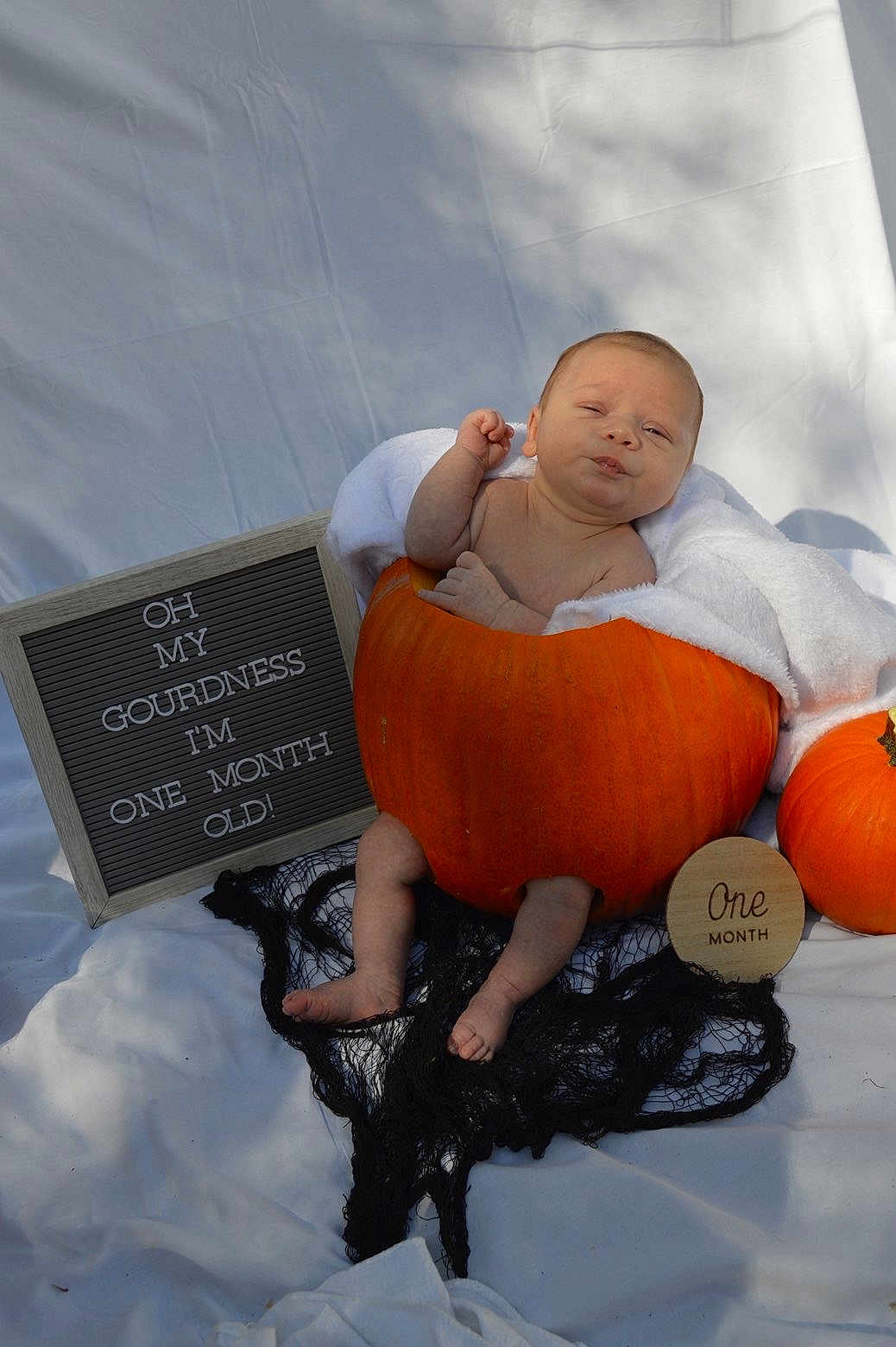 Everett is registered to the contest to win money with this photo: baby, infant, pumpkin, one_month, towel, letter_board, sign, black_netting, white_fabric, cute, newborn, autumn, holiday, portrait, outdoor, skin, feet, head, expression, wrapped
