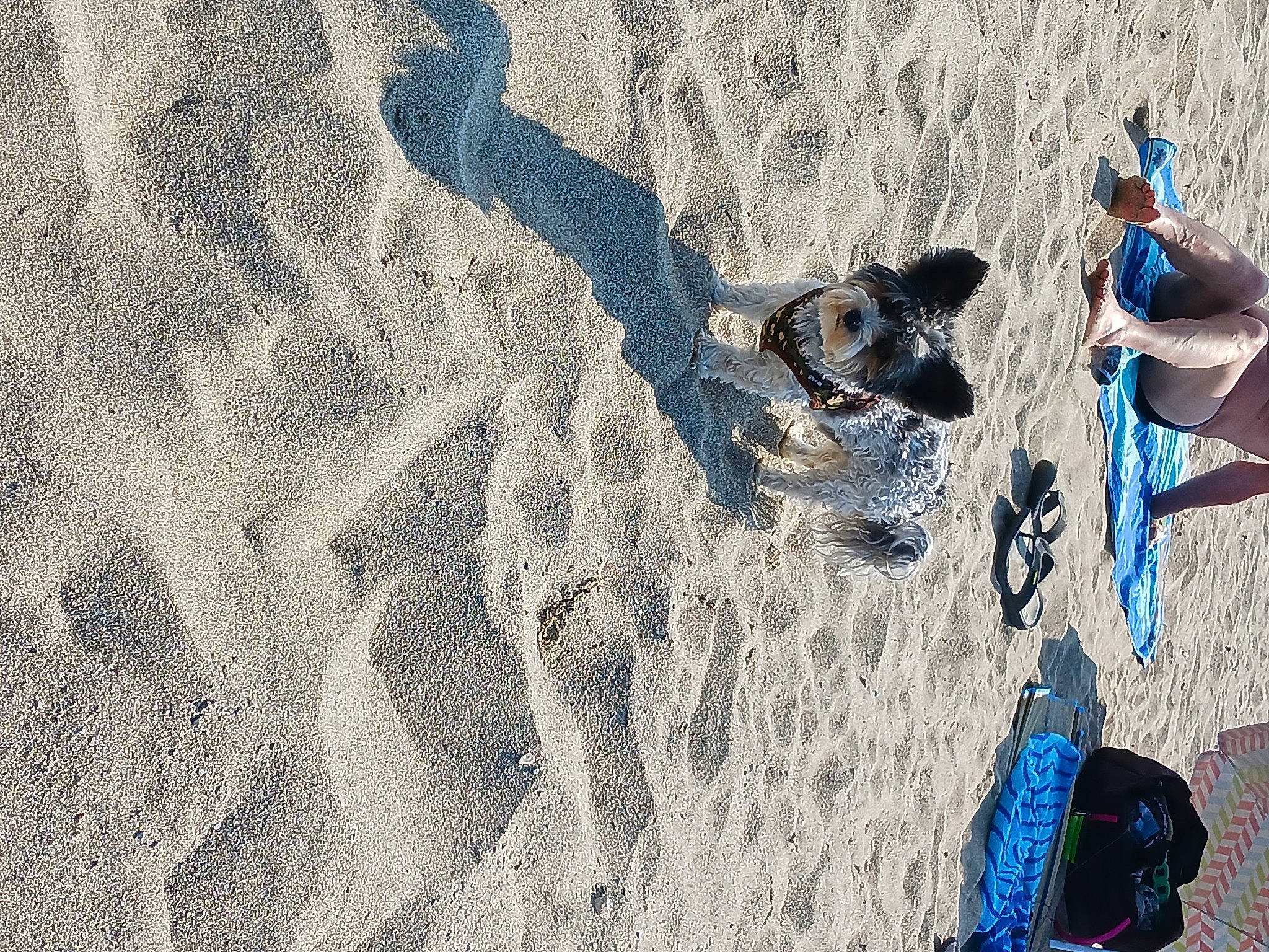 Réglisse participe au concours pour gagner de l'argent avec cette photo : art, beach, body_of_water, coast, electric_blue, foot, fun, human_leg, leisure, ocean, pattern, people_in_nature, recreation, sand, shadow, soil, visual_arts, water, wave, wind_wave