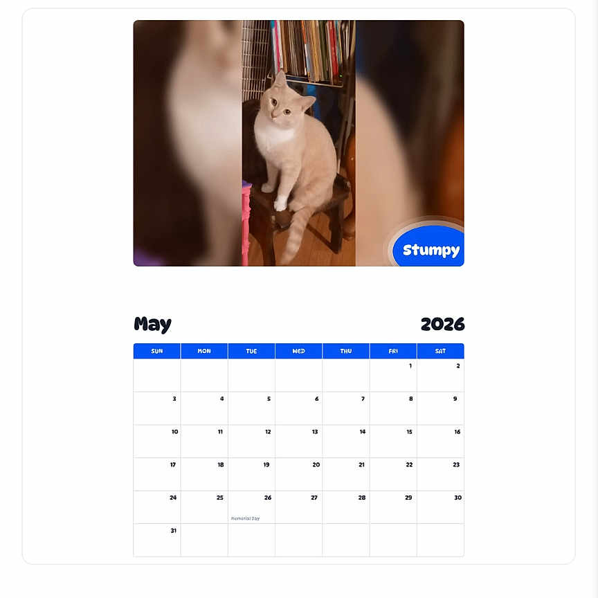 Stumpy joined the competition — help win amazing prizes! 2026, blurred_background, bookshelf, calendar, calendar_page, cat, chair, feline, home, indoor, light_colored_cat, may, pet, price, product, sale_tag, shopping, text, webpage, wooden_floor