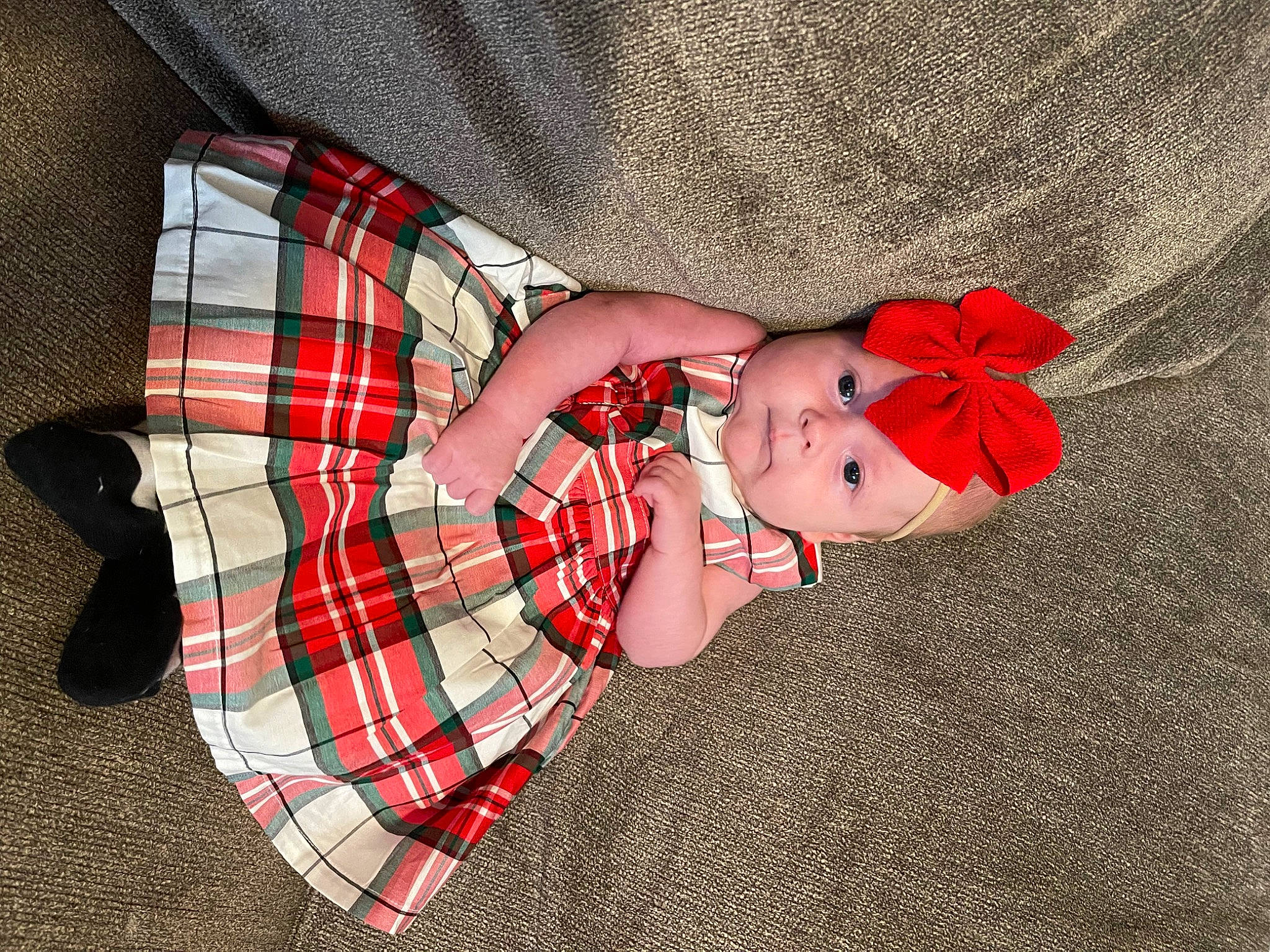 Willow joined the competition — help win amazing prizes! arm, beauty, collar, comfort, dress, eye, face, hand, head, headwear, human_body, human_leg, pattern, person, petal, plaid, plant, sleeve, tartan, thigh