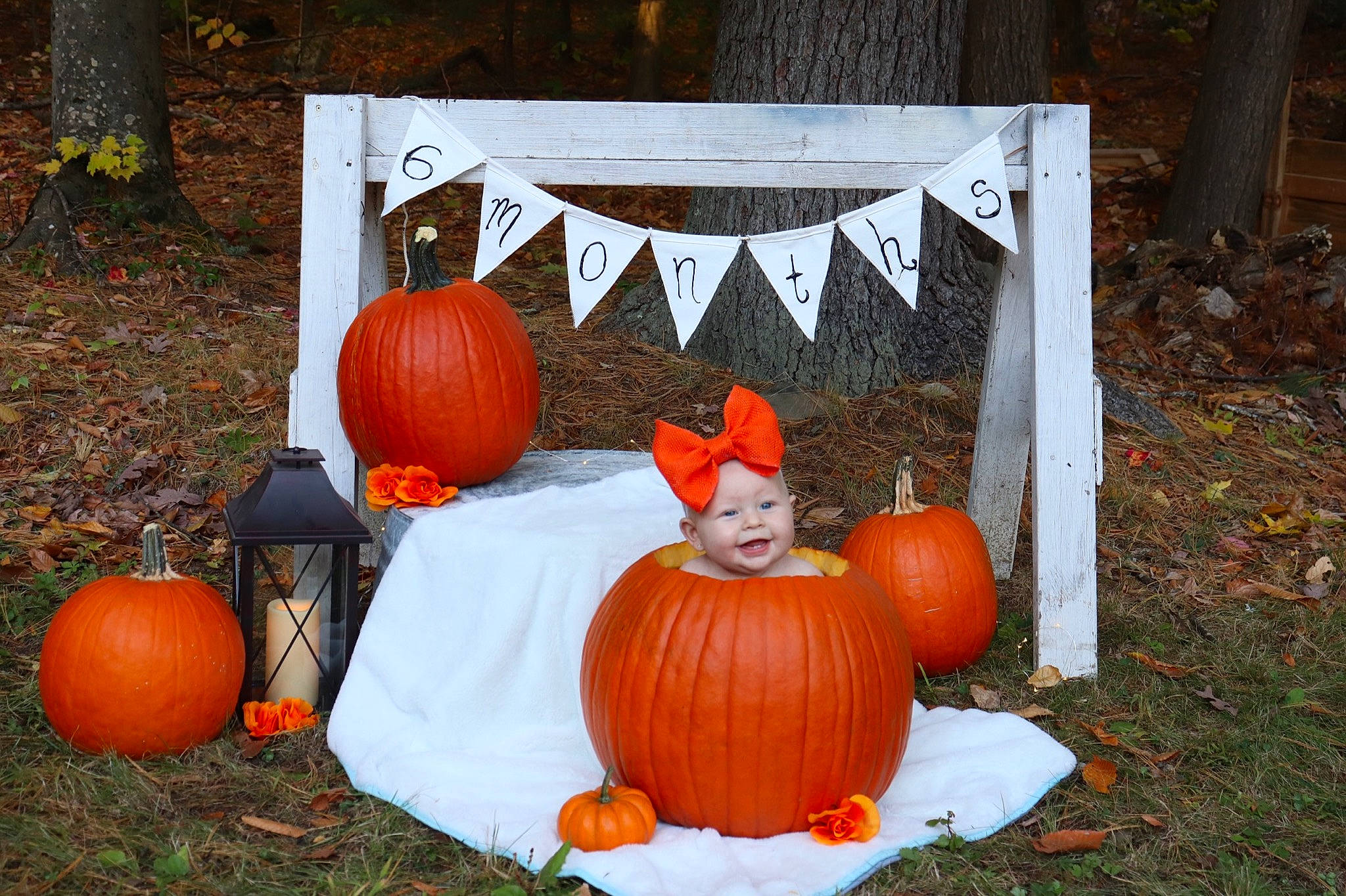 Novalie joined the competition — help win amazing prizes! calabaza, carving, cucurbita, food, fruit, gourd, jack_o_lantern, local_food, person, plant, produce, pumpkin, squash, vegetable, vegetarian_food, winter_squash