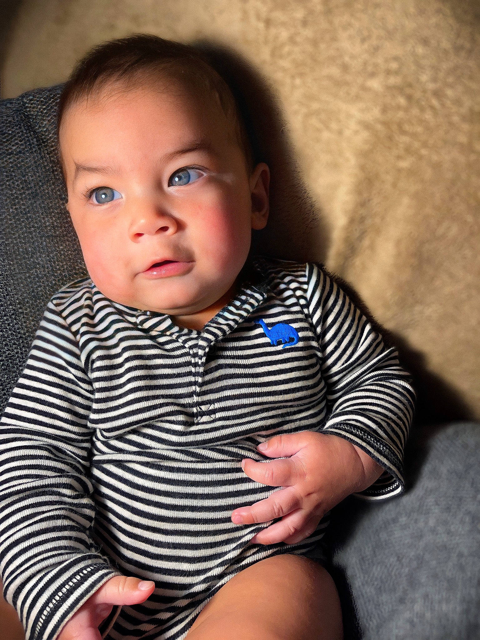 David is registered to the contest to win money with this photo: arm, baby_toddler_clothing, cheek, collar, comfort, eye, eyebrow, flash_photography, hair, hand, happy, head, iris, leg, lip, mouth, nose, person, skin, sleeve