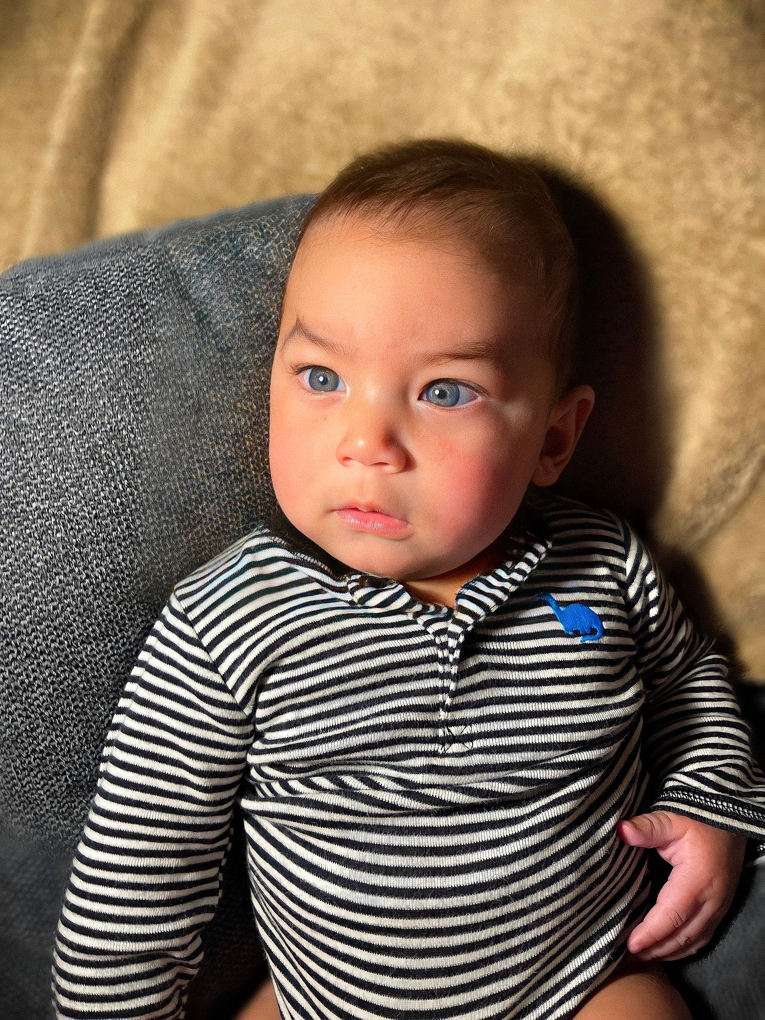 David joined the competition — help win amazing prizes! arm, baby_toddler_clothing, cheek, chin, eye, eyebrow, facial_expression, flash_photography, forehead, hairstyle, head, iris, lip, mouth, neck, nose, organ, outerwear, person, skin