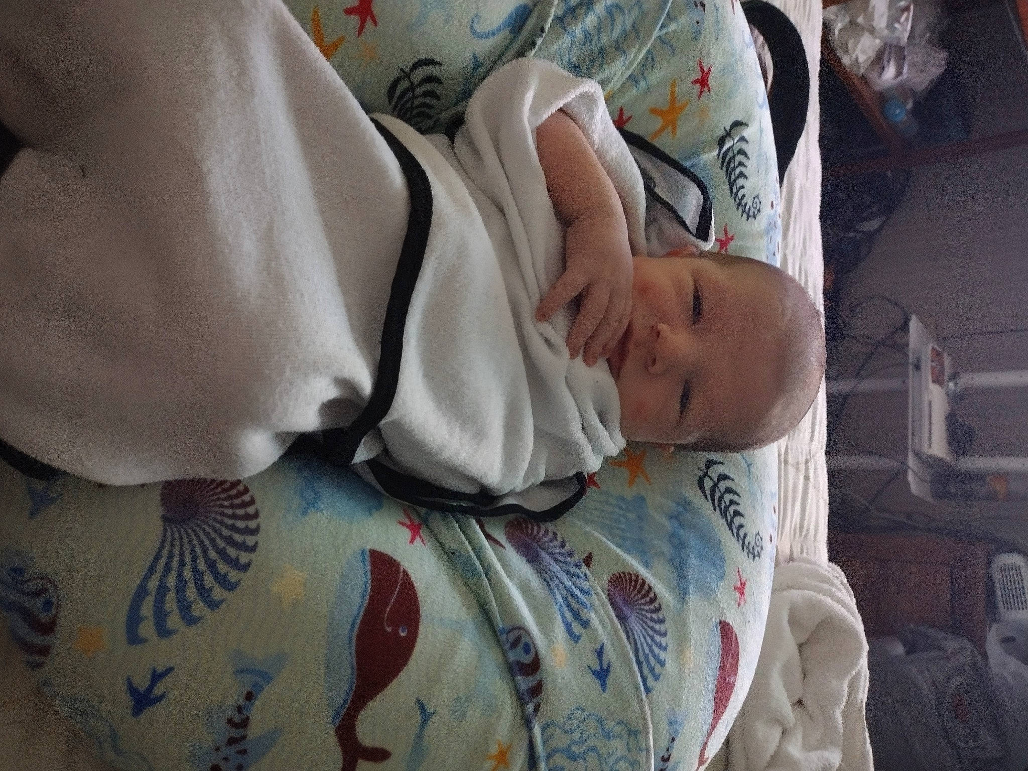 Harley joined the competition — help win amazing prizes! arm, baby, baby_products, baby_safety, baby_toddler_clothing, bedding, bedtime, child, comfort, elbow, linens, nap, pattern, person, room, sitting, sleep, sleeve, textile, toddler