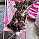 Lucy Cat