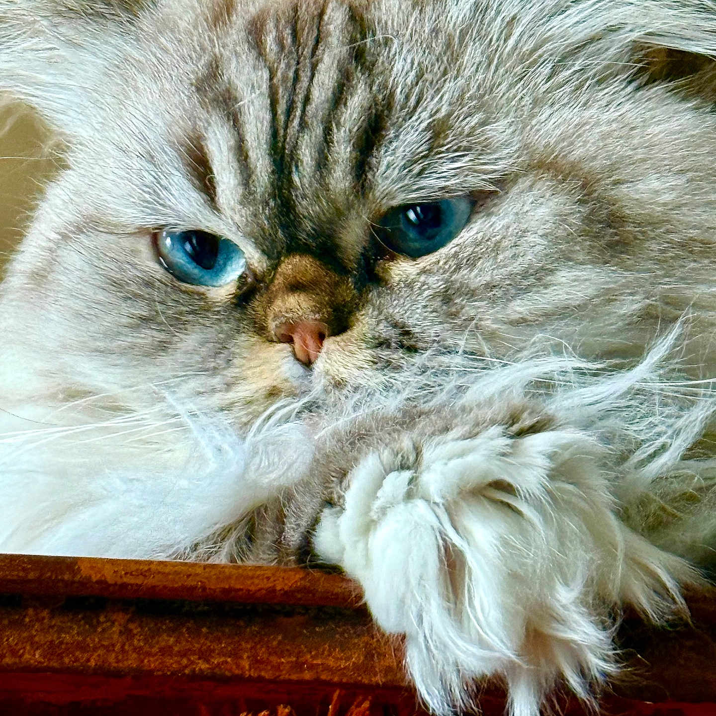Luna