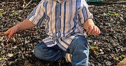 Alexander is registered to the contest to win money with this photo: toddler, child, boy, outdoor, mulch, pinecones, stick, jeans, striped_shirt, white_shoes, sunlight, backyard, fence, soil, plants, garden, casual_clothing, curious, sitting, nature