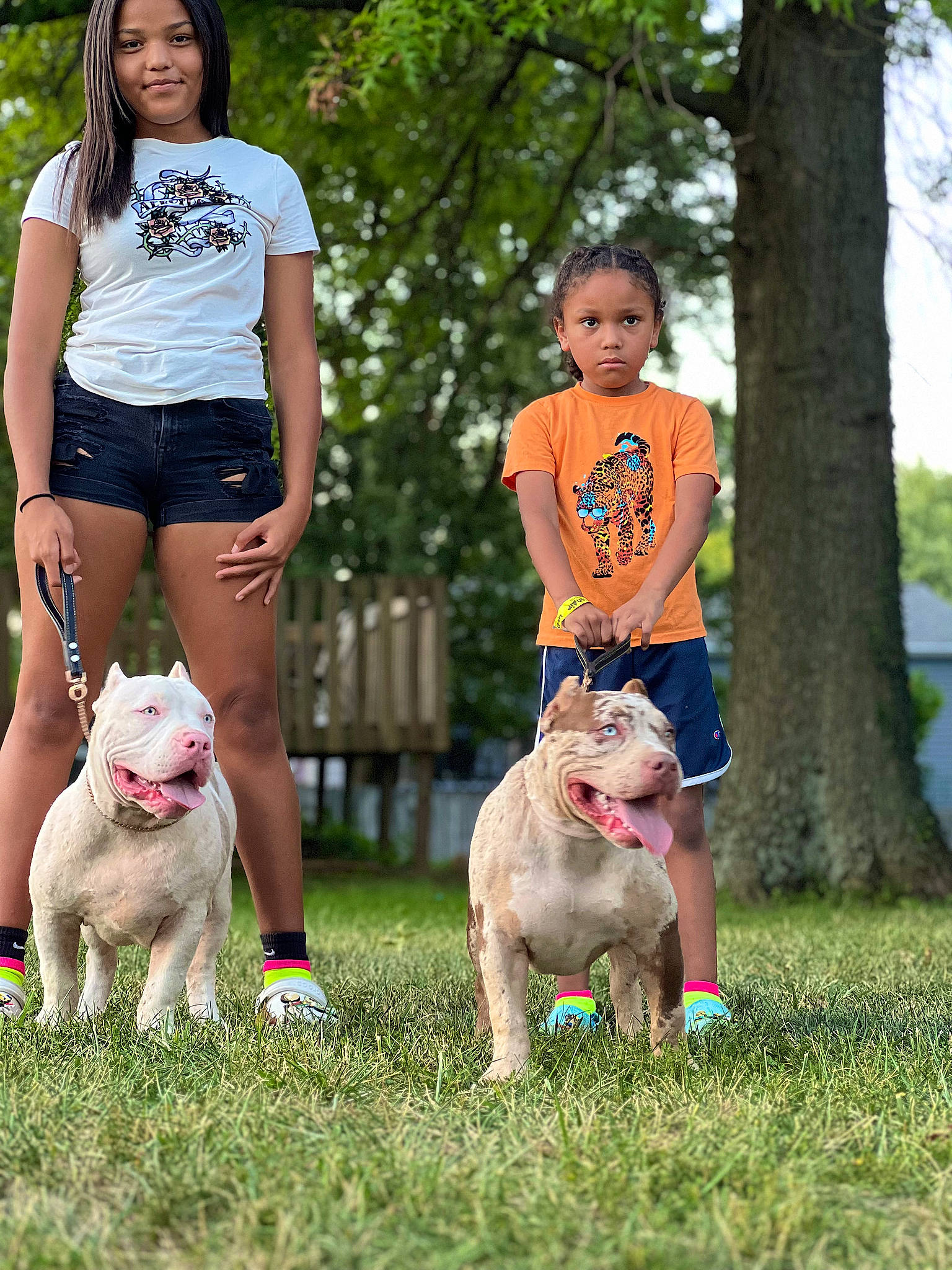 Selena is registered to the contest to win money with this photo: canidae, carnivore, child, companion_dog, dog, dog_breed, fawn, fun, grass, green, happy, headwear, human_leg, joy, leisure, person, plant, recreation, shorts, sporting_group