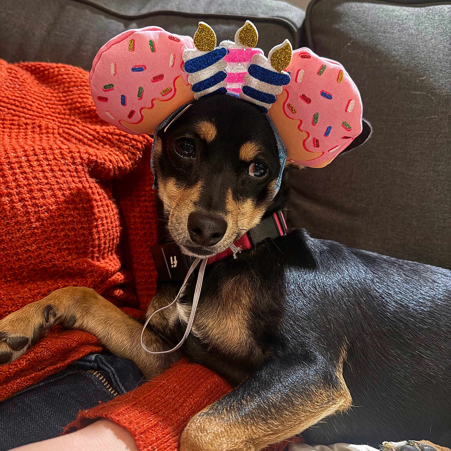 Luci