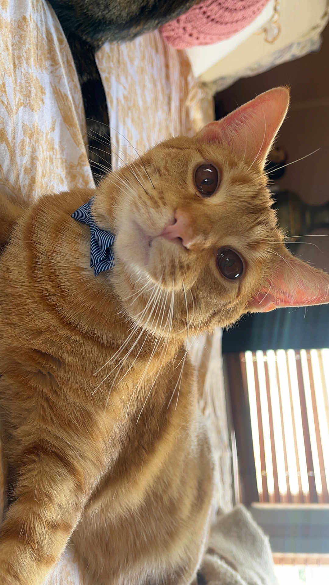 Pablo
