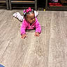 Jasamira is registered to the contest to win money with this photo: toddler, child, pink_jacket, hair_bows, floor, wooden_floor, indoor, furniture, box, kids_makeup_kit, curious, lying_down, hands, feet, casual_clothing, young_child, person, room, flooring, playful