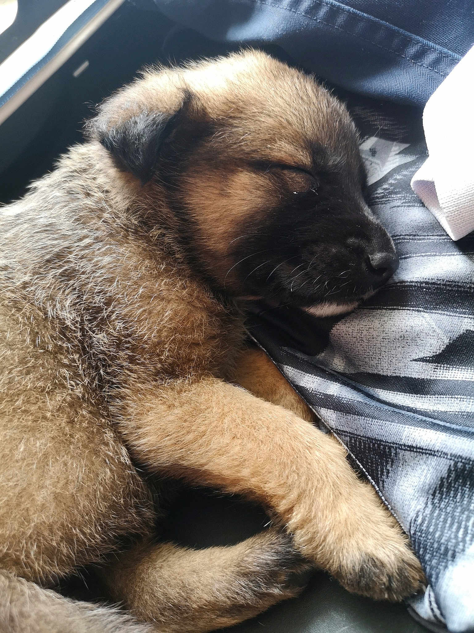 Mya